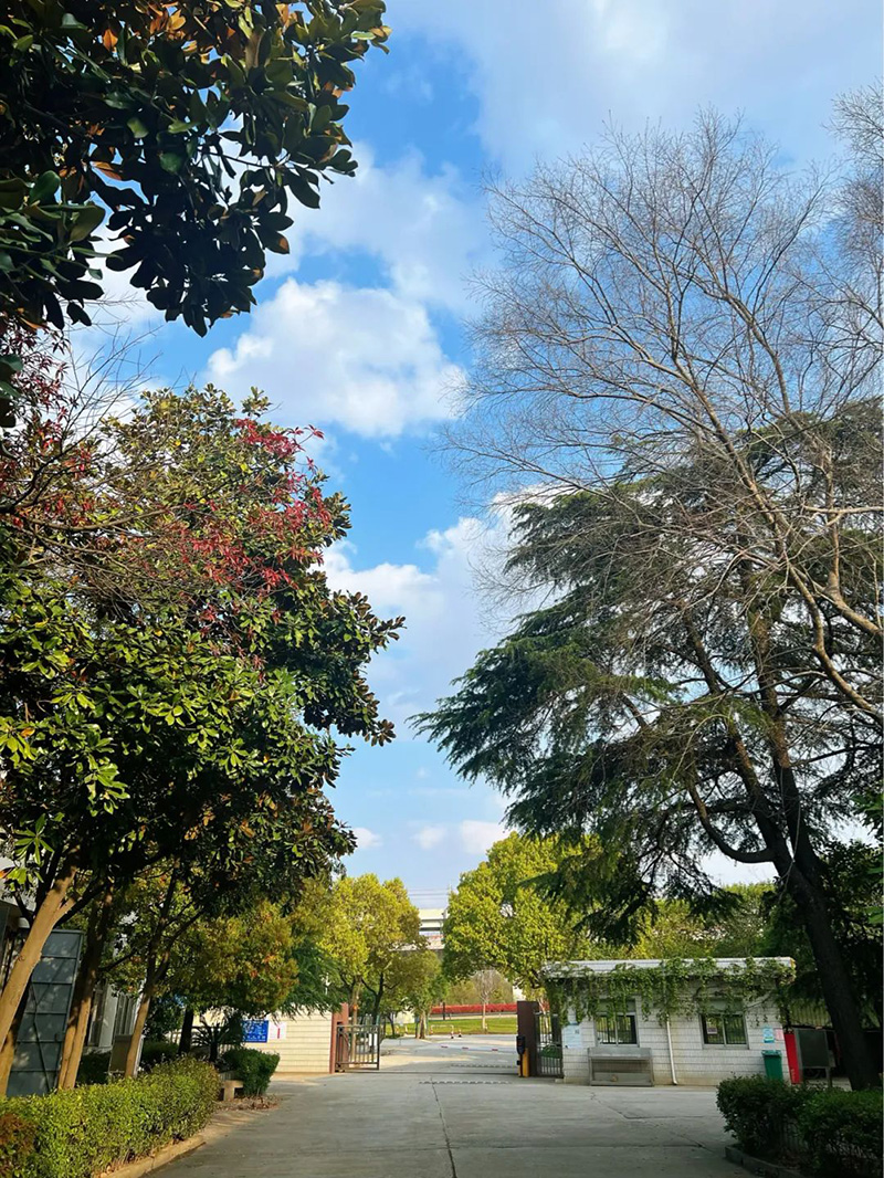 極致的康發(fā)雙螺桿擠出機工匠精神，支撐著在追逐夢想的旅程中穩(wěn)步邁進。