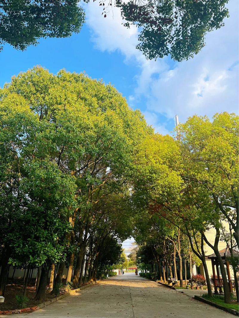 極致的康發(fā)雙螺桿擠出機工匠精神，支撐著在追逐夢想的旅程中穩(wěn)步邁進。