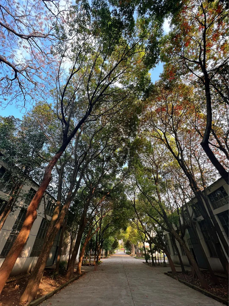 極致的康發(fā)雙螺桿擠出機工匠精神，支撐著在追逐夢想的旅程中穩(wěn)步邁進。