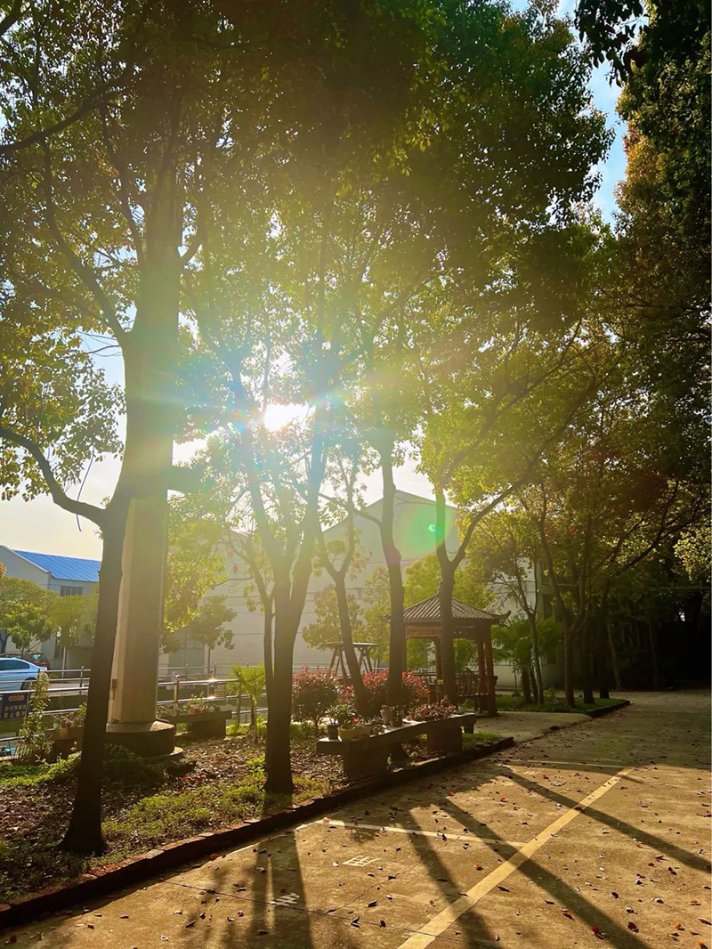 極致的康發(fā)雙螺桿擠出機工匠精神，支撐著在追逐夢想的旅程中穩(wěn)步邁進。