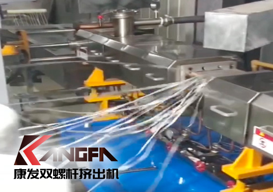 65高扭+PLC，尼龍加纖雙螺桿擠出機試機