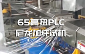 65高扭+PLC，尼龍加纖雙螺桿擠出機(jī)試機(jī)